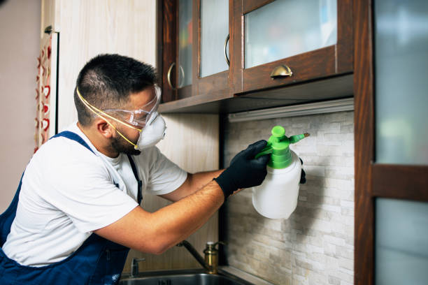 Best Pest Control for Homes  in Waconia, MN