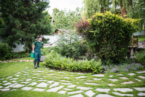 Best Ant Control Services  in Waconia, MN
