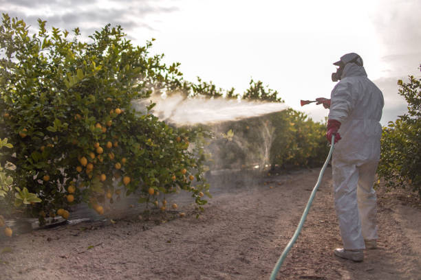 Best Cockroach Control Services  in Waconia, MN