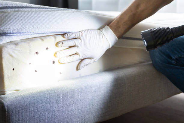 Best Pest Prevention Services  in Waconia, MN
