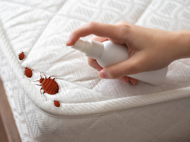 Best Commercial Pest Control Services  in Waconia, MN