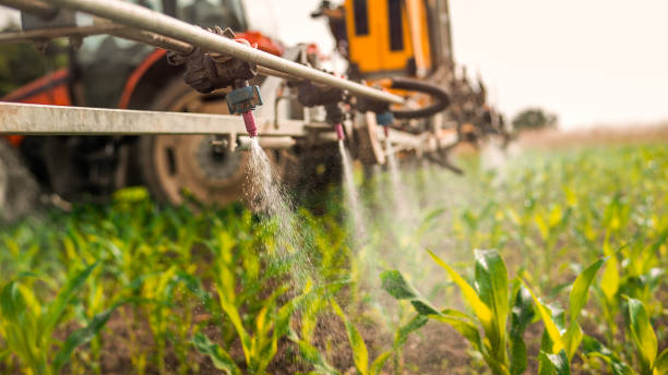 Best Wildlife Control Services  in Waconia, MN